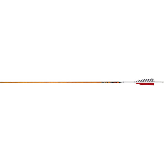 Easton Carbon Legacy Arrows 700 4 In. Feathers 6 Pk.